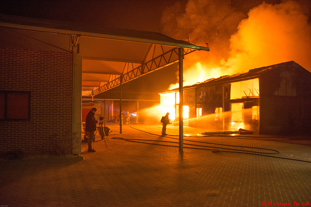 geen films