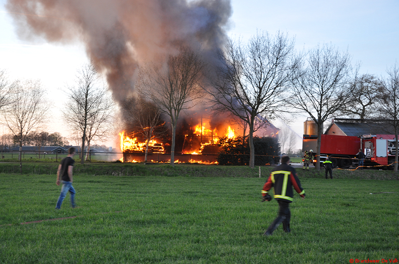 Brand.