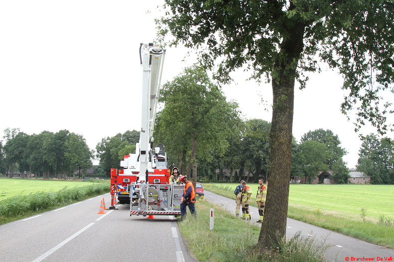 Brand.