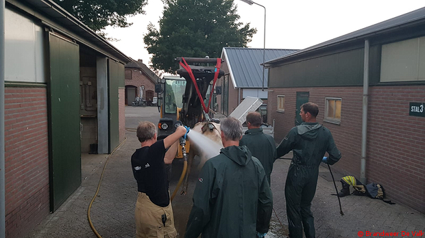 Geen foto's.